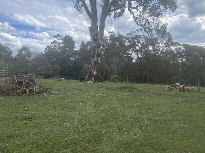 After view of property work pair 4 in Hepburn Shire