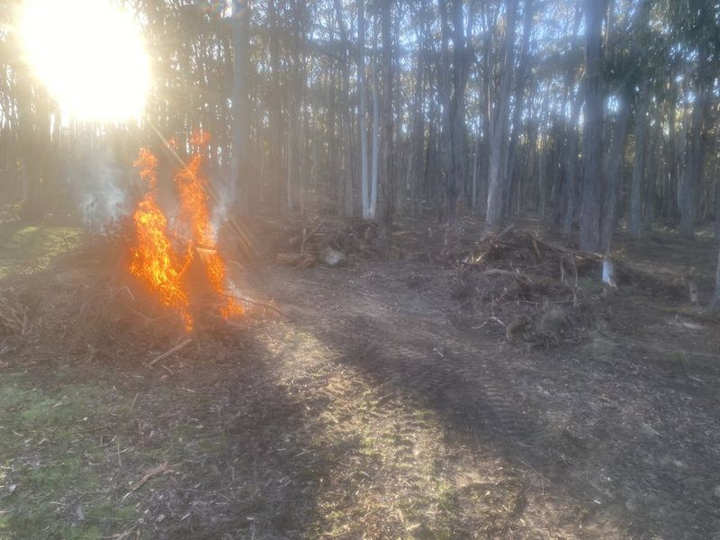 Controlled Burnoffs project 2 in Hepburn Shire
