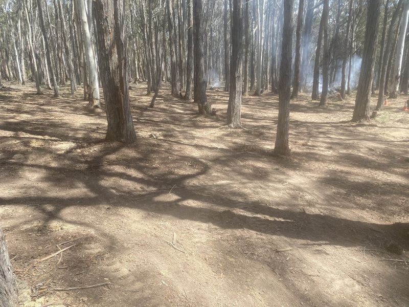 Controlled Burnoffs project 3 in Hepburn Shire
