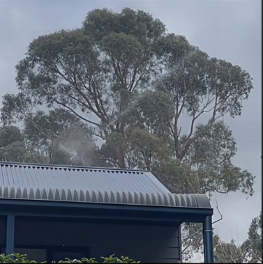Exterior Sprinkler Systems project 5 in Hepburn Shire