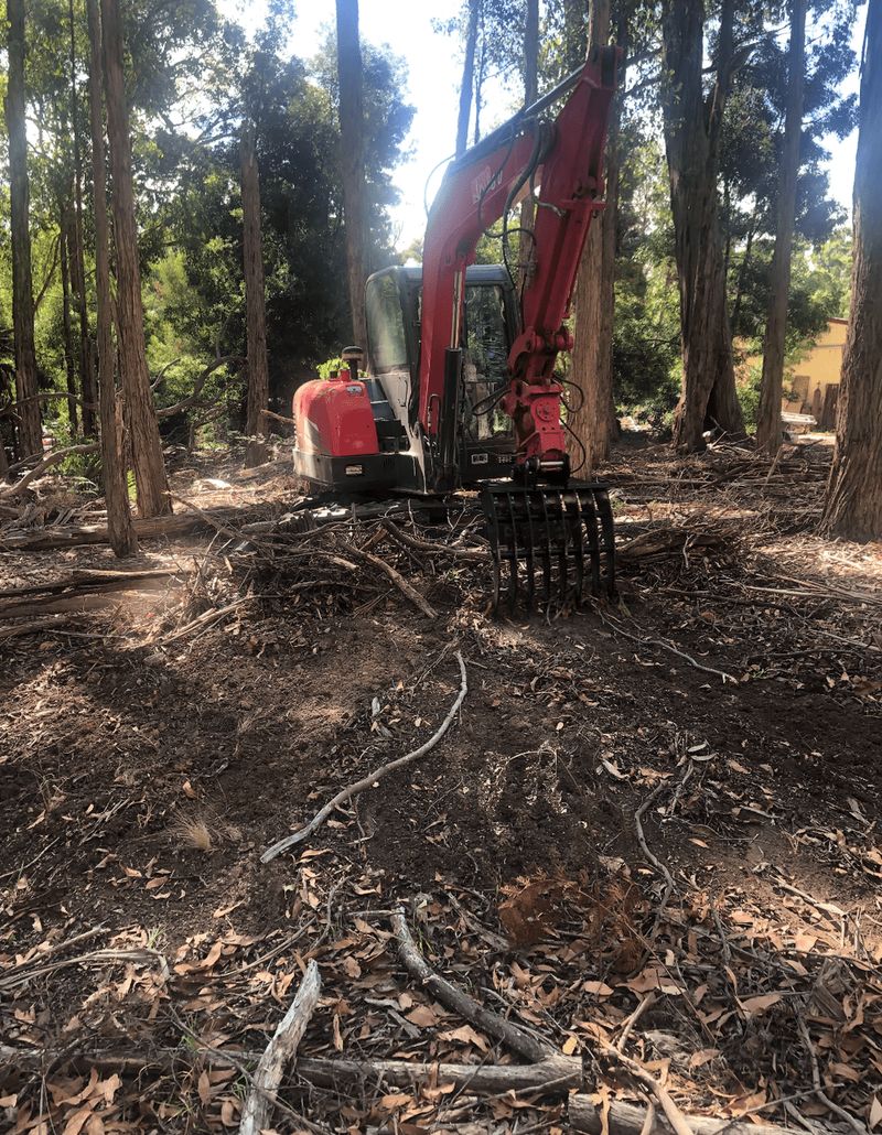 Undergrowth & Fuel Load Clearing project 2 in Hepburn Shire